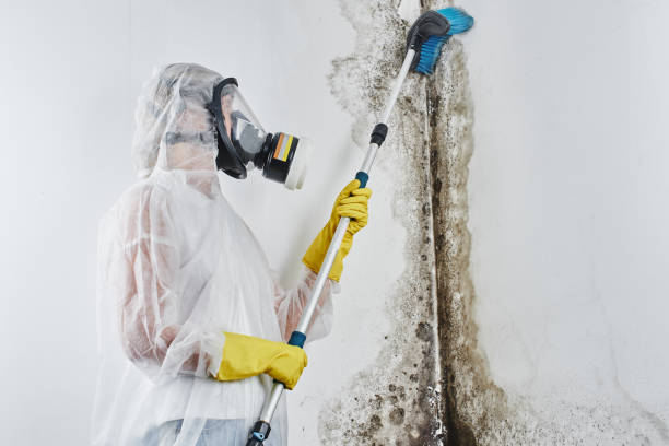 Mold Remediation for Vacation Homes in Bethlehem Village, CT