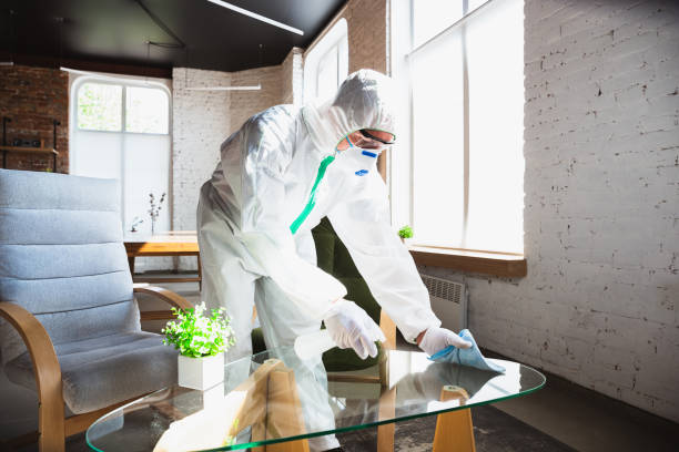 Why You Should Choose Our Mold Remediation Services in Bethlehem Village, CT